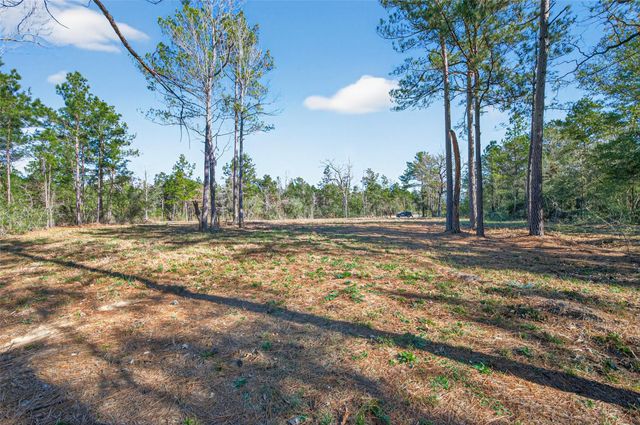 7629 Trinity Pines Drive, Montgomery, TX 77316