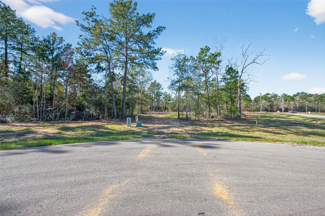 7629 Trinity Pines Drive, Montgomery, TX 77316