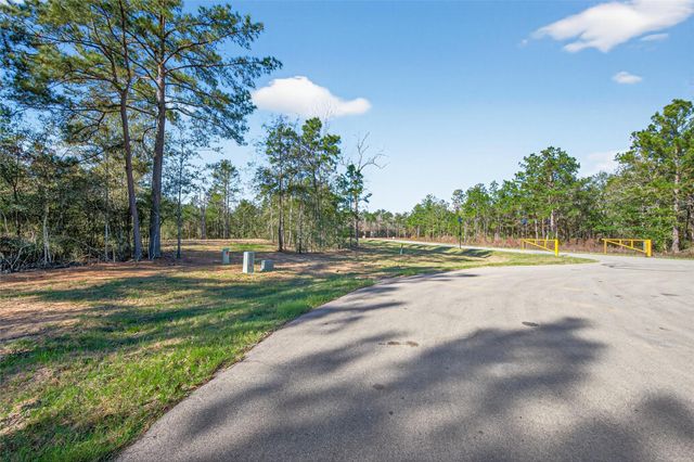 7629 Trinity Pines Drive, Montgomery, TX 77316