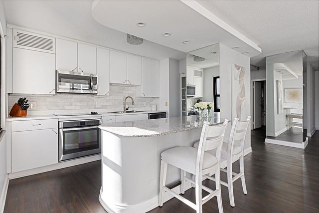 1313 N Ritchie Court 2307, Chicago, IL 60610