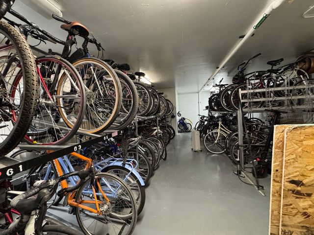 1313 N Ritchie Court 2307, Chicago, IL 60610