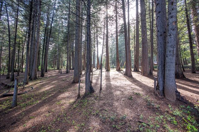 4620 Dio Linda Ct, Pollock Pines, CA 95726