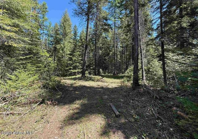 8995 E Quarter Mile Rd, Athol, ID 83801