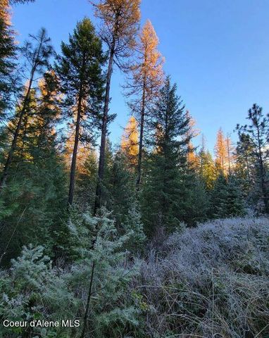 8995 E Quarter Mile Rd, Athol, ID 83801