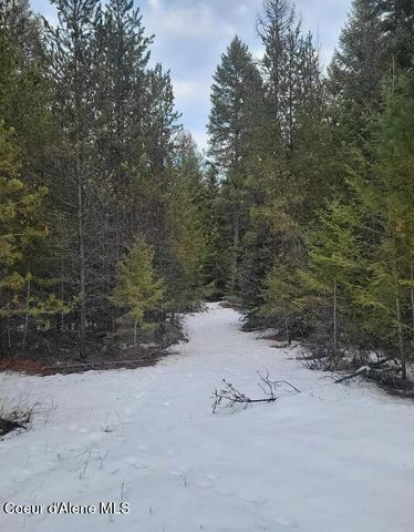 8995 E Quarter Mile Rd, Athol, ID 83801