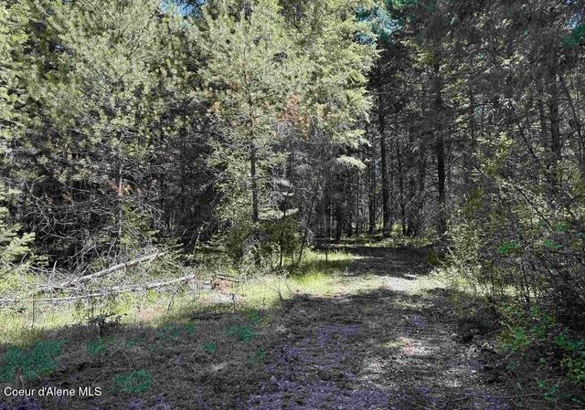 8995 E Quarter Mile Rd, Athol, ID 83801