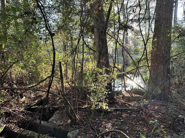 0 Simpson Pl, Hammond, LA 70403