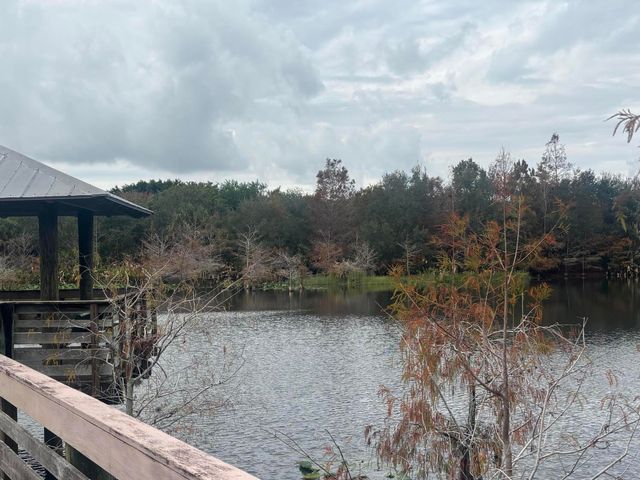 2156 SE Fern Park Drive, Port St. Lucie, Port St Lucie, FL 34952