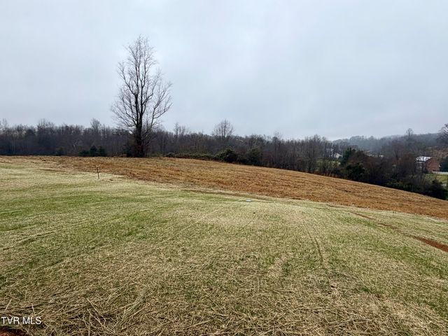 234 Ruby Rose Ridge, Jonesborough, TN 37659