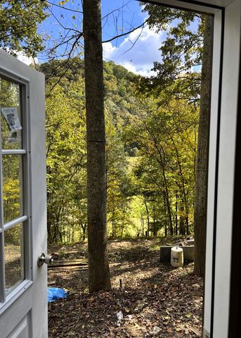 91 Carver Hollow Rd, Pleasant Shade, TN 37145