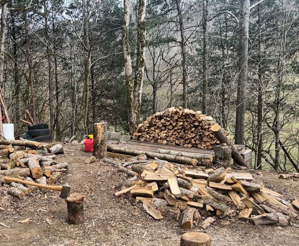 91 Carver Hollow Rd, Pleasant Shade, TN 37145