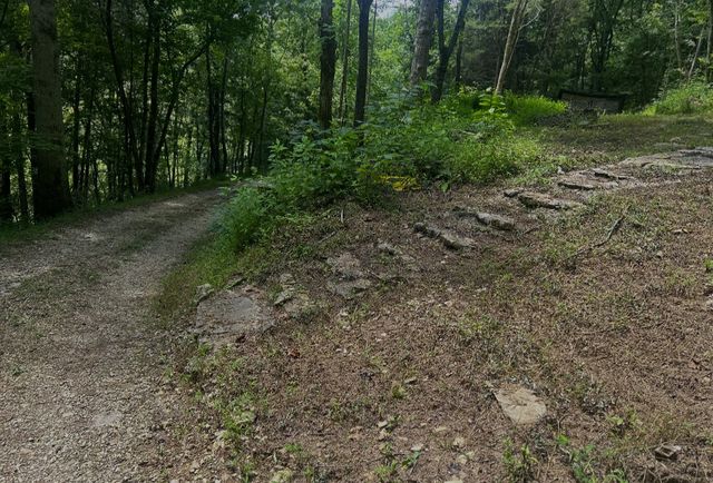 91 Carver Hollow Rd, Pleasant Shade, TN 37145