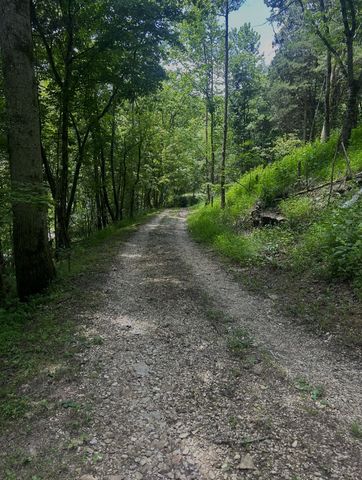 91 Carver Hollow Rd, Pleasant Shade, TN 37145