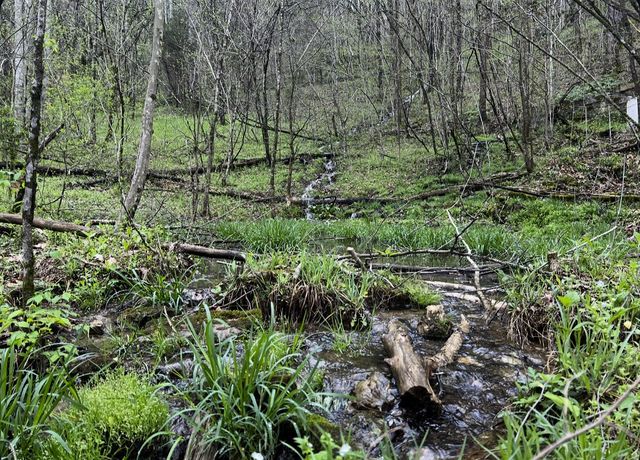91 Carver Hollow Rd, Pleasant Shade, TN 37145