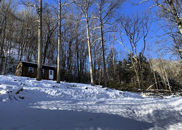 91 Carver Hollow Rd, Pleasant Shade, TN 37145