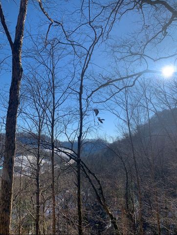 91 Carver Hollow Rd, Pleasant Shade, TN 37145