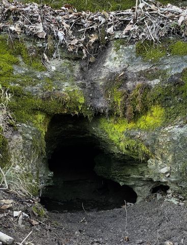 91 Carver Hollow Rd, Pleasant Shade, TN 37145