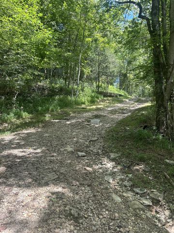 91 Carver Hollow Rd, Pleasant Shade, TN 37145