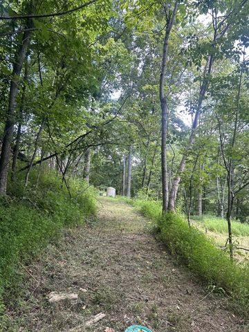 91 Carver Hollow Rd, Pleasant Shade, TN 37145