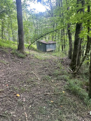 91 Carver Hollow Rd, Pleasant Shade, TN 37145