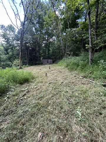 91 Carver Hollow Rd, Pleasant Shade, TN 37145