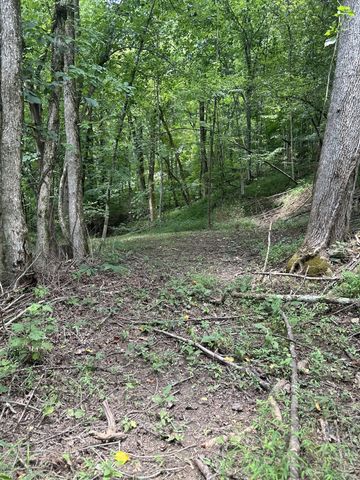 91 Carver Hollow Rd, Pleasant Shade, TN 37145