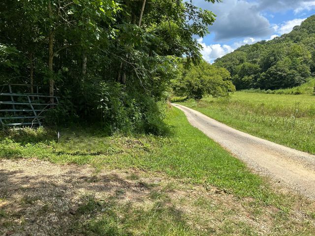 91 Carver Hollow Rd, Pleasant Shade, TN 37145