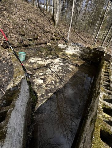 91 Carver Hollow Rd, Pleasant Shade, TN 37145