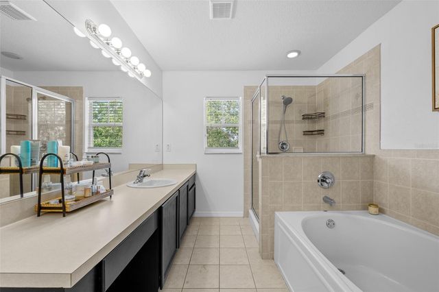 8519 BROKEN WILLOW COURT, Tampa, FL 33647