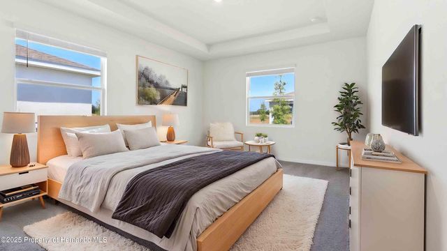 11309 Curio Drive, Brooksville, FL 34613