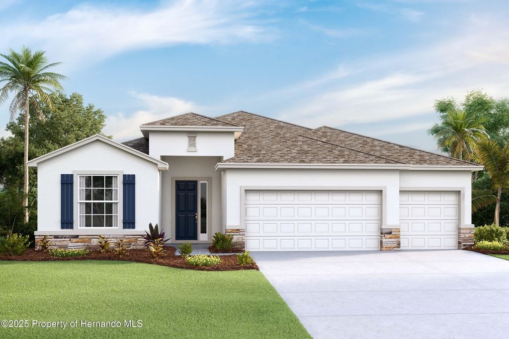 11309 Curio Drive, Brooksville, FL 34613