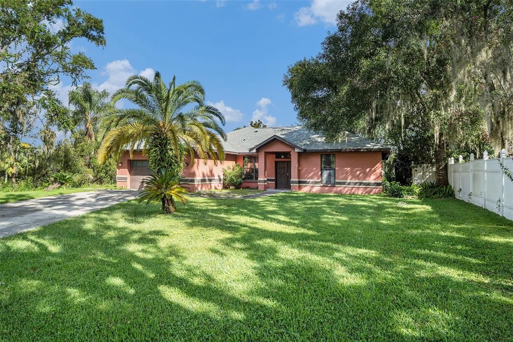 23211 DOVER DRIVE, Land O Lakes, FL 34639