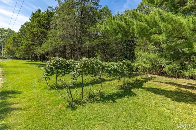 250 Meadow Woods Road, Hillsboro, MO 63050