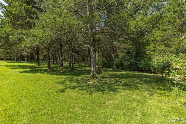 250 Meadow Woods Road, Hillsboro, MO 63050