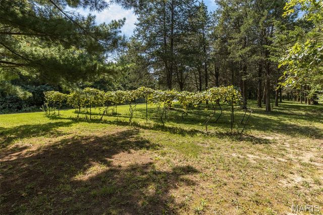 250 Meadow Woods Road, Hillsboro, MO 63050