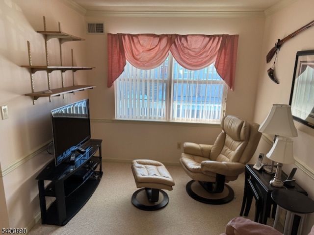 38 Spruce Ter 38, Mount Arlington Boro, NJ 07856