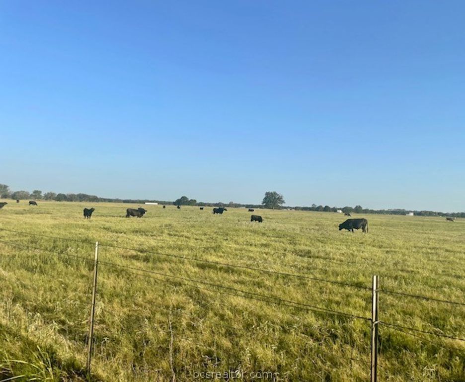 TBD CR 358, Gause, TX 77857 — photo 4