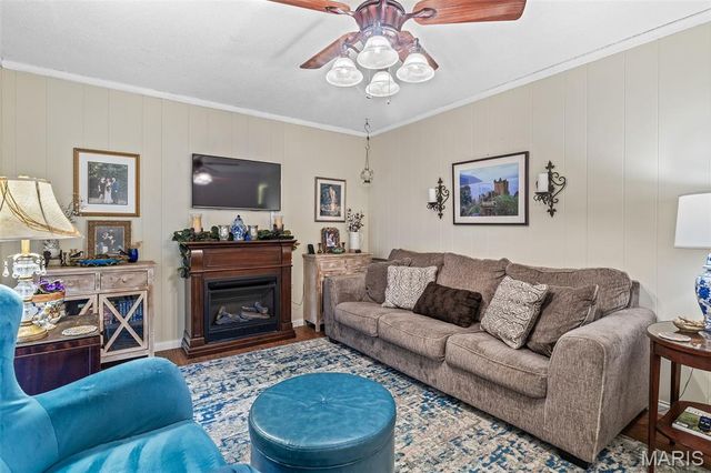 222 Meadowbrook Drive, Farmington, MO 63640