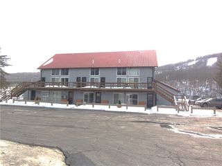 1912 State Route 392 Unit 4, Virgil, NY 13045