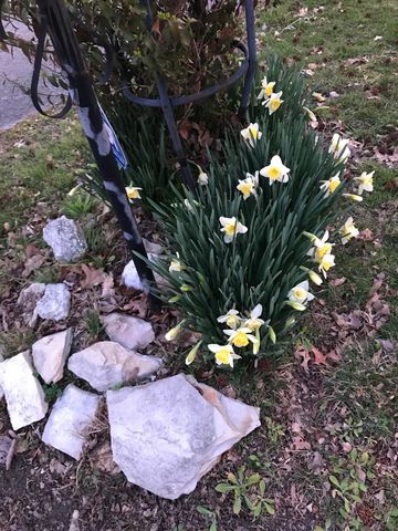 114 Meadowlark Drive, Berea, KY 40403