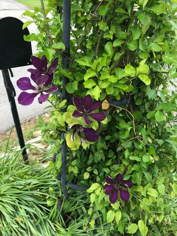 114 Meadowlark Drive, Berea, KY 40403