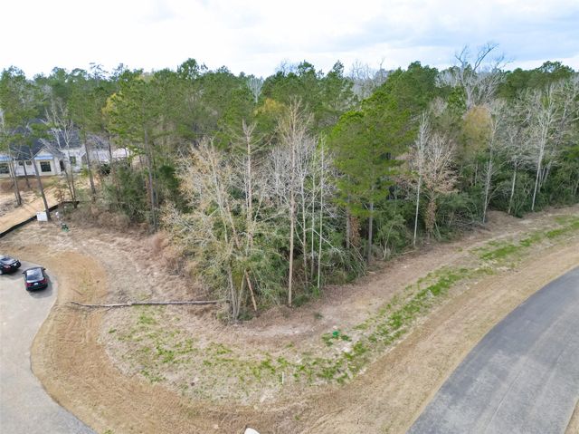 4908 Sierra Blanca Court, Montgomery, TX 77316