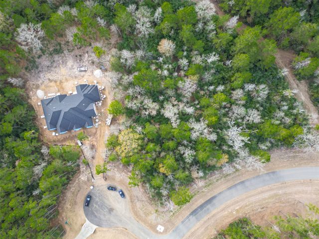 4908 Sierra Blanca Court, Montgomery, TX 77316