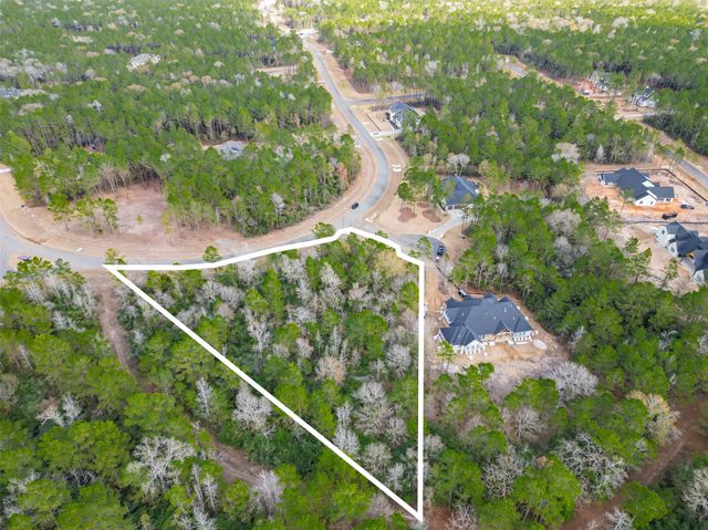 4908 Sierra Blanca Court, Montgomery, TX 77316