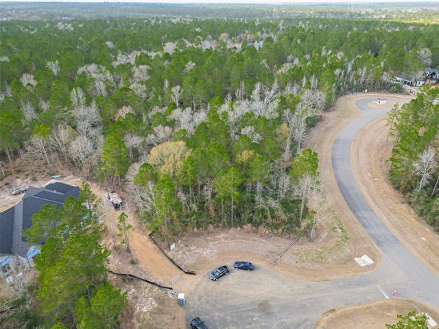 4908 Sierra Blanca Court, Montgomery, TX 77316