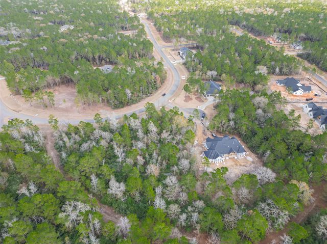 4908 Sierra Blanca Court, Montgomery, TX 77316