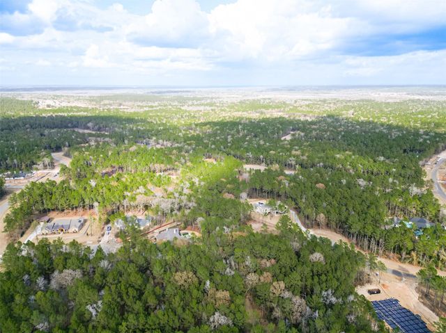 4908 Sierra Blanca Court, Montgomery, TX 77316