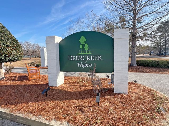 1408 Deercreek Drive, Manning, SC 29102