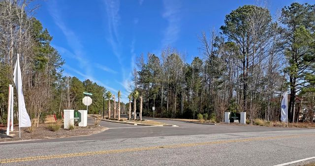 1408 Deercreek Drive, Manning, SC 29102