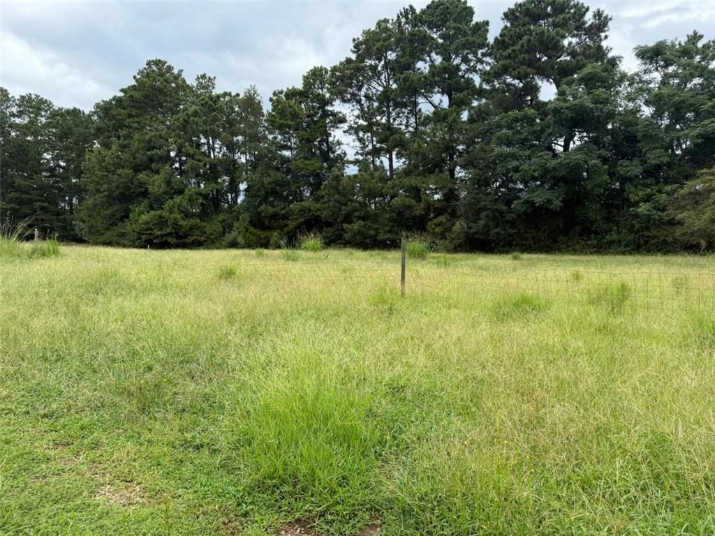 Image 2 of property listing at 0 Cannon Road, Sharpsburg, GA 30277